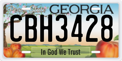 GA license plate CBH3428