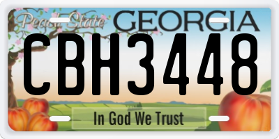 GA license plate CBH3448