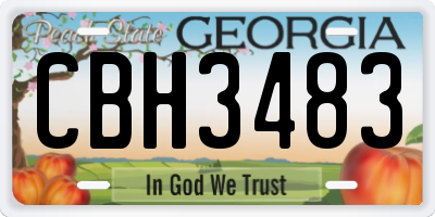 GA license plate CBH3483
