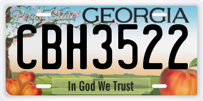 GA license plate CBH3522