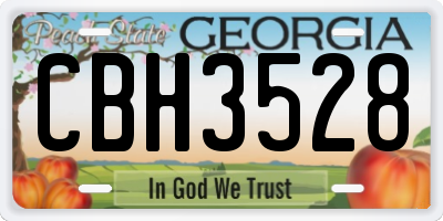 GA license plate CBH3528