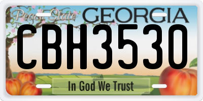 GA license plate CBH3530