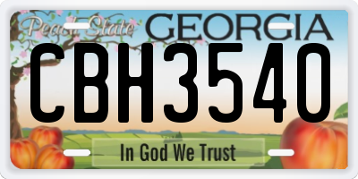 GA license plate CBH3540