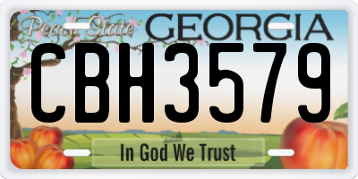 GA license plate CBH3579