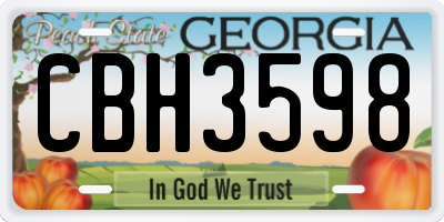 GA license plate CBH3598