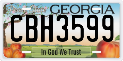 GA license plate CBH3599