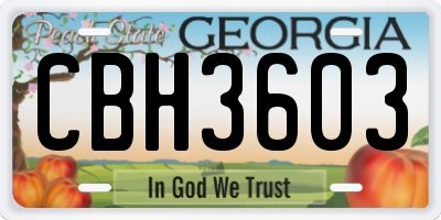 GA license plate CBH3603