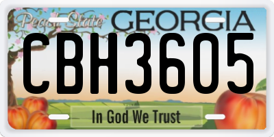 GA license plate CBH3605