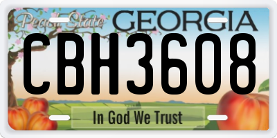 GA license plate CBH3608