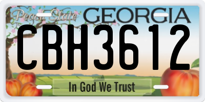GA license plate CBH3612