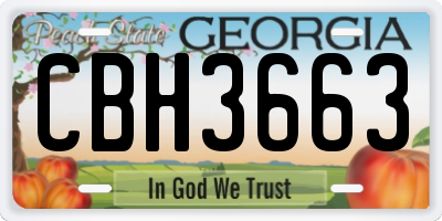 GA license plate CBH3663