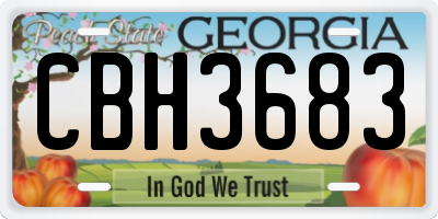 GA license plate CBH3683