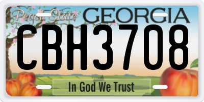 GA license plate CBH3708