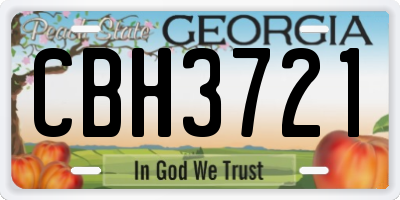 GA license plate CBH3721