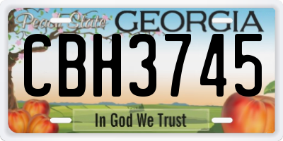 GA license plate CBH3745