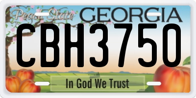 GA license plate CBH3750
