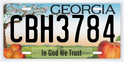 GA license plate CBH3784