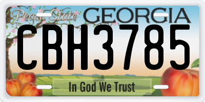 GA license plate CBH3785