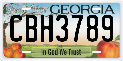 GA license plate CBH3789