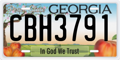 GA license plate CBH3791