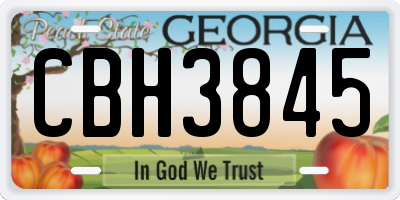 GA license plate CBH3845
