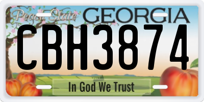 GA license plate CBH3874