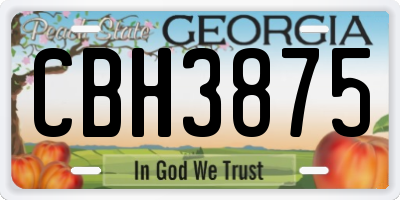 GA license plate CBH3875