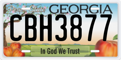 GA license plate CBH3877