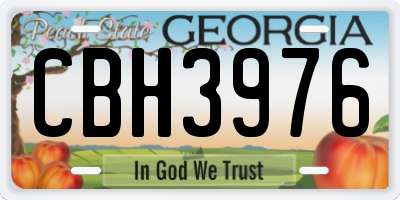 GA license plate CBH3976