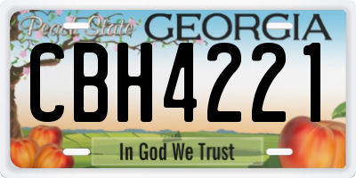 GA license plate CBH4221