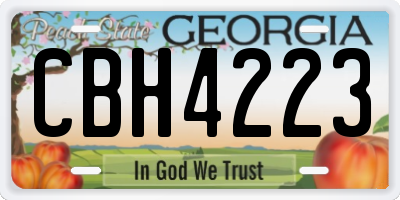 GA license plate CBH4223