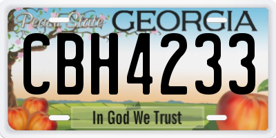 GA license plate CBH4233