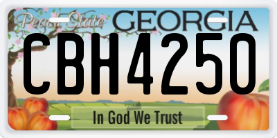 GA license plate CBH4250