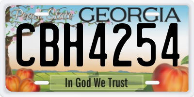 GA license plate CBH4254