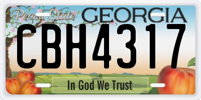 GA license plate CBH4317