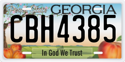 GA license plate CBH4385