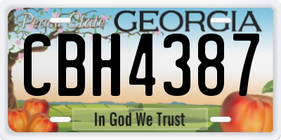 GA license plate CBH4387