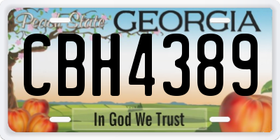 GA license plate CBH4389