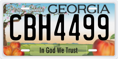 GA license plate CBH4499