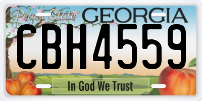 GA license plate CBH4559