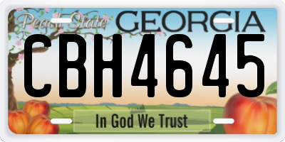 GA license plate CBH4645