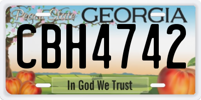 GA license plate CBH4742