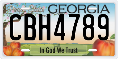 GA license plate CBH4789