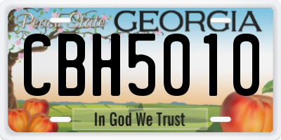 GA license plate CBH5010