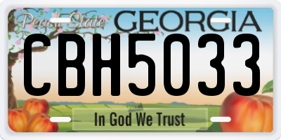 GA license plate CBH5033