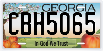 GA license plate CBH5065