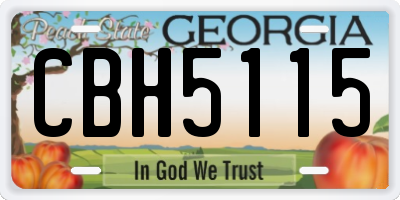 GA license plate CBH5115