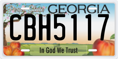 GA license plate CBH5117