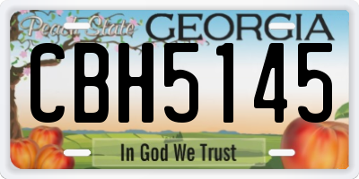 GA license plate CBH5145