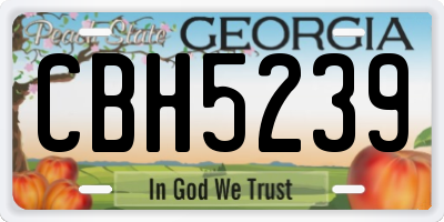 GA license plate CBH5239